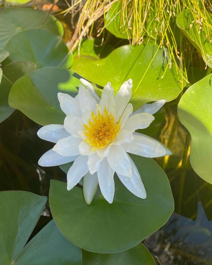 B&B Il Giardino Delle Meraviglie Μελίτο ντι Πόρτο Σάλβο Εξωτερικό φωτογραφία